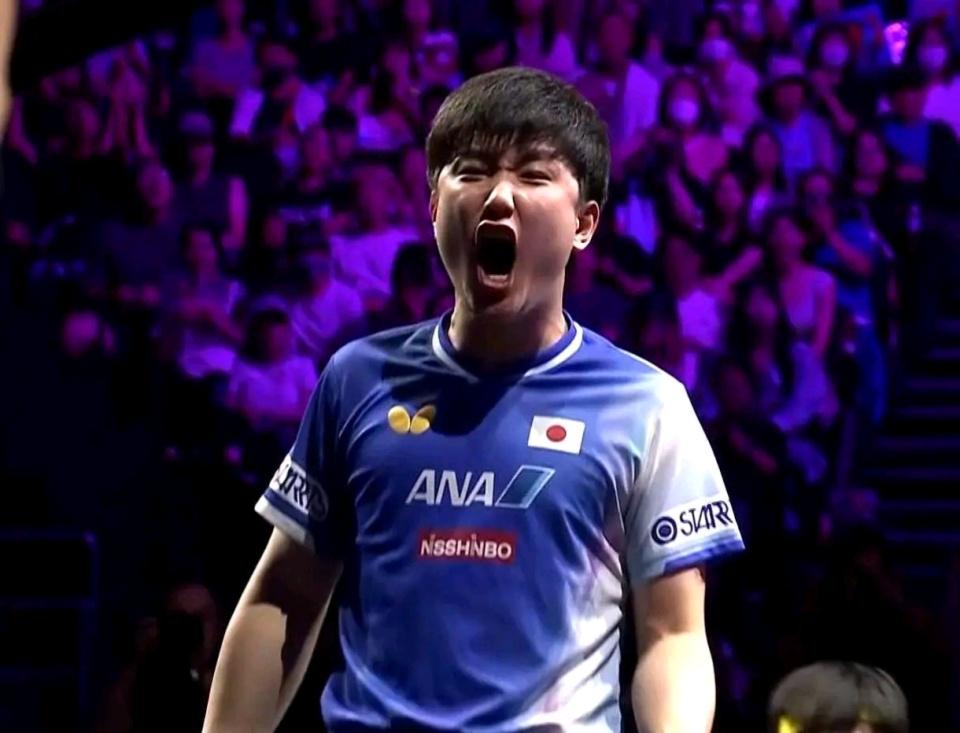 引起不小争, 王楚钦