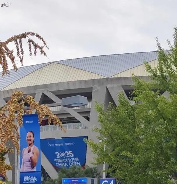 全出局, msn, 她们的对手