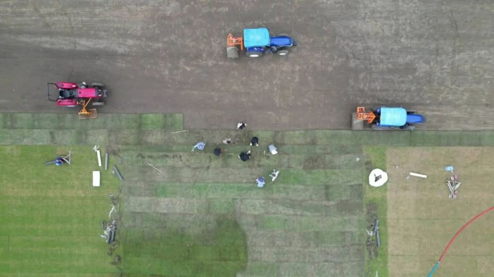 高度协同的, inews